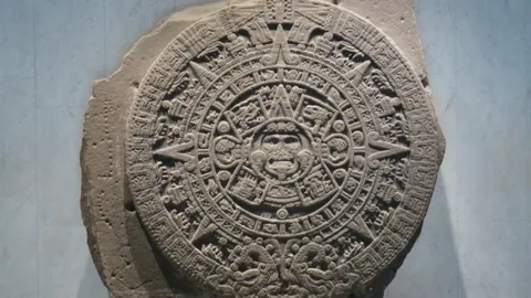 刘德华喜中红梅引热议，20条精彩评论来袭！